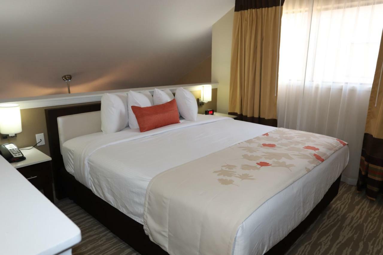 Hawthorn Suites By Wyndham Detroit Southfield Esterno foto